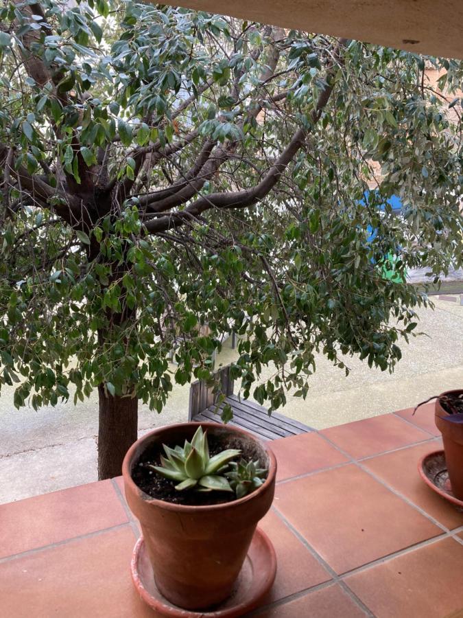 Casa Rural Hospital De Las Palabras Torrelles Екстериор снимка