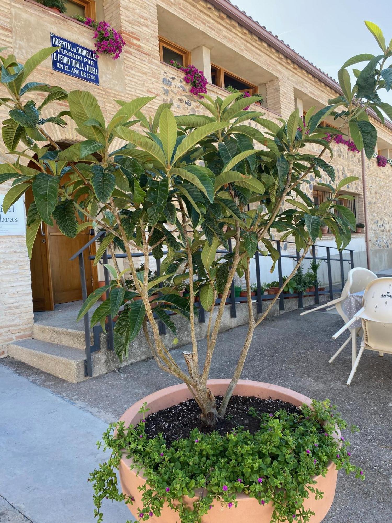 Casa Rural Hospital De Las Palabras Torrelles Екстериор снимка